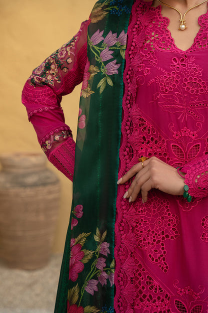 SAIRA RIZWAN PINK